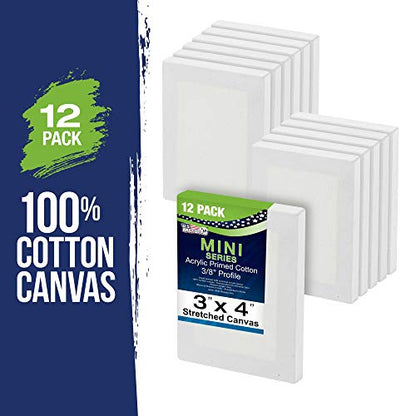 U.S. Art Supply 3"x4" Mini Square Canvases for Painting, Pack of 12 | Mini Primed Artist Stretched Canvas, Ideal for Arts & Crafts, Weddings, Birthdays - size: 3" x 4" - Pack of 12
