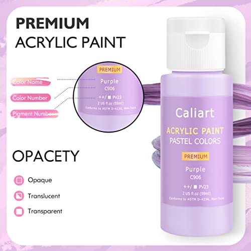 Caliart 24 Colors Pastel Acrylic Paint Set with 12 Brushes | Craft Painting kit for Adults Artists Beginners, Rich Pigment Non-toxic, Canvas Wood Rock Pumpkin Ceramic Art Supplies Paint - color: Pastel, size: 2 Fl Oz (Pack of 24)