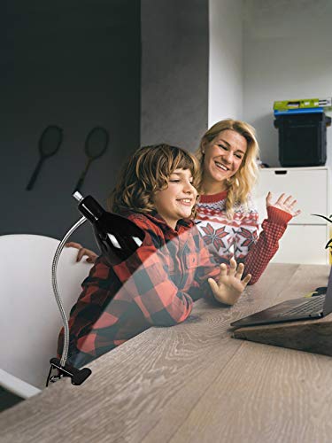 LALISU Desk lamp Eye-Caring Table Lamps, 360°Rotation Gooseneck Clip Lamp - color: Black