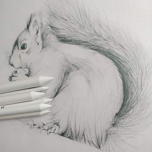 6 PCS Blending Stumps and Tortillions, Sketch Drawing Tools | Paper Art Blenders for Student Sketch Drawing
