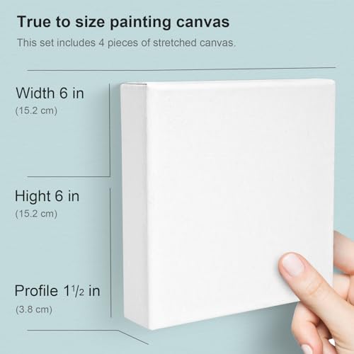 AUREUO 6x6 Inch Gallery Wrapped Canvas - 1.5 Inch Depth 4 Pack - 10 Oz Triple Gesso Primed 100% Cotton Square White Artist Canvases for Acrylic & Oil Paints - size: 6"x6" Gallery