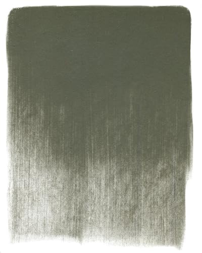 PanPastel Artist Pastels by GOLDEN, Neutral Gray Shade, 2.44” / 62mm Pan Diameter, Professional Artist Pastels, Unique Pan Format (cake-like) - color: Neutral Grey Shade