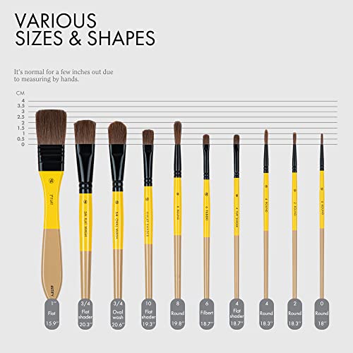 ARTIFY 10 Pieces Paint Brush Set, Intermediate Series, Includes a Carrying Case, Premium Horse Bristle Brushes for Acrylic, Watercolor, Oil and Gouache Painting (Yellow - Horse Hair) - color: Yellow - Horse Hair