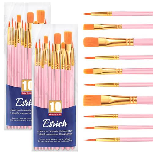 ESRICH Paint Brushes Set, 2 Packs 20 Pcs Acrylic Paint Brush | Watercolor Oil Acrylic Nylon Hair Brushes, Artist Paintbrushes for Artist Professional Kits, Pink - color: Pink, size: 20