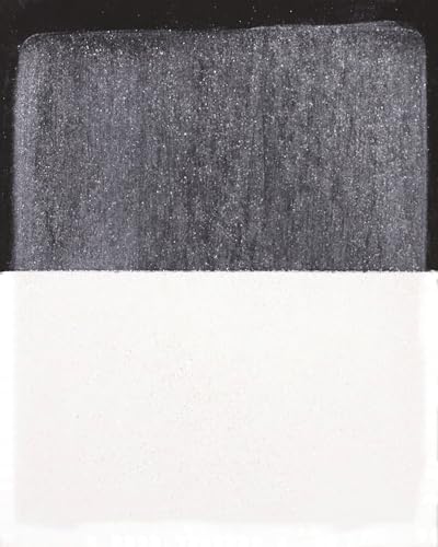 PanPastel Artist Pastels by GOLDEN, Pearl Medium White (Coarse), 2.44” / 62mm Pan Diameter, Professional Artist Pastels, Unique Pan Format (cake-like) - color: Pearl Medium - White COARSE