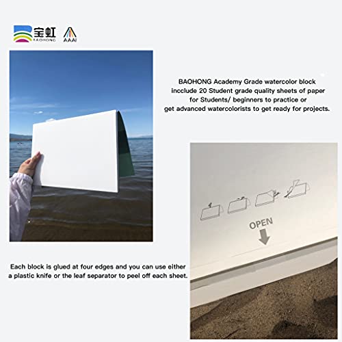 BAOHONG Academy Grade Watercolor Block, 100% Cotton, Acid-Free, 140LB/300GSM, Hot Press Surface, 20 Sheets per Block (Hot Press 8.3"x12.2") - size: Hot Press 8.3"x12.2"