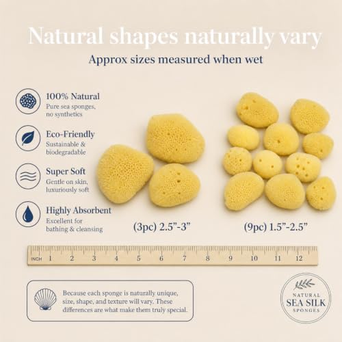 Natural Sea Silk Sponges 12pk, Cosmetic Grade Makeup & Blending Facial Care