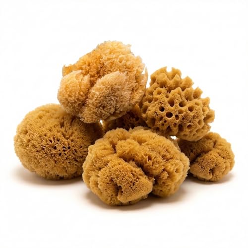 Natural Sea Sponges Hermit Crabs 5 Pack Unbleached, Drinking Aquarium Decor