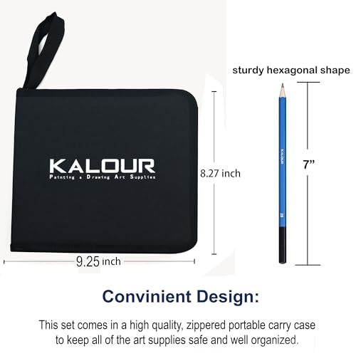 KALOUR 33 Pro Drawing Kit Sketching Pencils Set,Portable Zippered Travel Case-Charcoal Pencils, Sketch Pencils, Charcoal Stick,Sharpener,Eraser.Art Supplies for Artists Beginner Adults Teens
