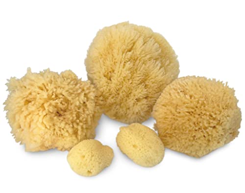 Natural Sea Sponge 5pk Spa Gift Set Bath Shower & Facial Care, Premium Bag | 5 assorted sizes for bath, shower & face. Hypoallergenic, kind on skin. Gift for moms, brides & teens. Comes in premium bag. - style: 5 Piece set in bag