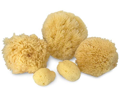 Natural Sea Sponge 5pk Spa Gift Set Bath Shower & Facial Care, Premium Bag | 5 assorted sizes for bath, shower & face. Hypoallergenic, kind on skin. Gift for moms, brides & teens. Comes in premium bag. - style: 5 Piece set in bag