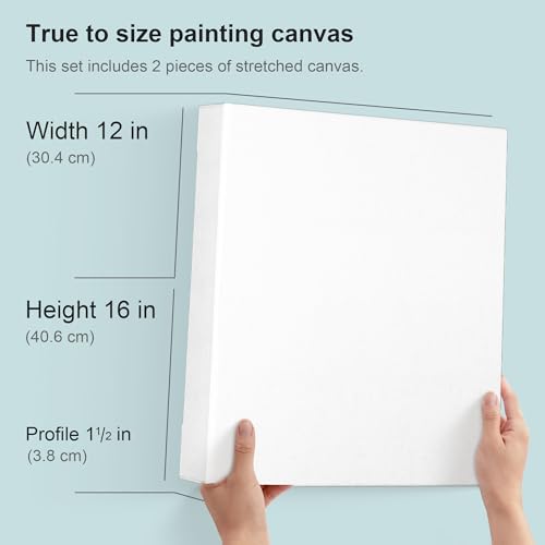 PHOENIX 12x16 Inch 2 Pack Gallery Canvas - 1.5 in Thick Canvases for Painting - Deep Edge 100% Cotton 11 Oz. Gesso Primed White Blank Professional Canvas Oil & Acrylic Paints - size: 12"x16", style: Gallery