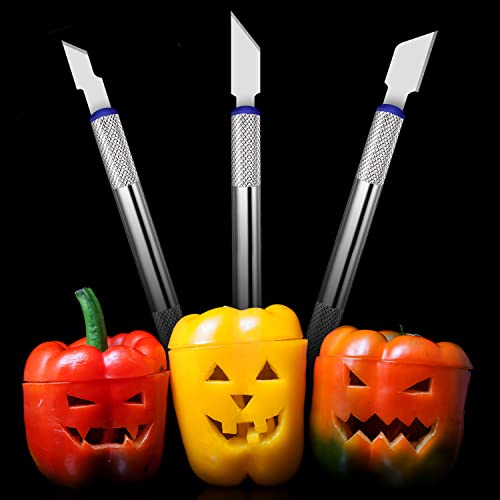 21 Pieces Precision Hobby Craft Knife Set,Razor Sharp Knives for Scrapbooking,Stencil,Art Modeling,Sculpture,Wood Leather,Halloween Pumpkin Carving,Fine Point,Scoring,Chiseling Blade., Black