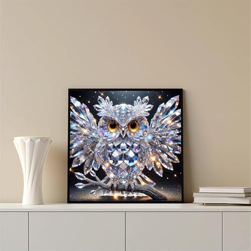 Xoaoes Owl Diamond Art Kits for Adults, 5D Animals Diamond Painting Kits - color: CM046