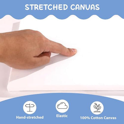 ESRICH Canvas for Painting 8x10, 16 Pack Stretched Canvas, Primed Acid-Free Cotton Paint Canvas Bulk, White Blank Canvases for Painting for Oil & Acrylic Paint. - size: 16 Packs - 1 Size (8x10)