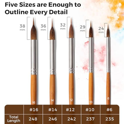5-Piece Extra Long Needle Point Detail Brush Set - Brown