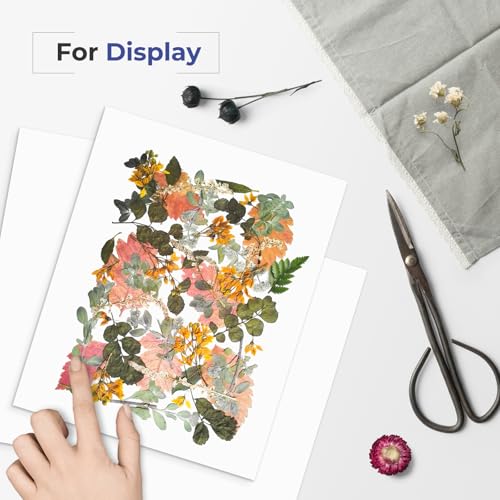 AUEAR 8x10 Uncut Picture Mat Boards, White and Black Matt Boards, 10-Pack - color: Black and White, size: 8x10
