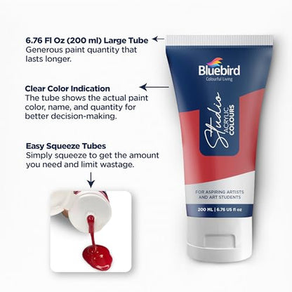 BLUEBIRD Studio Acrylic Gesso - 17 Fl Oz / 500ML Studio Acrylic Paint Tube - White 6.76 Fl Oz / 200ML