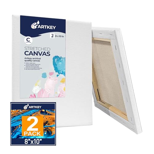 Stretched Canvases for Painting 8x10 Inch 2-Pack, 10 oz Triple Primed Acid-Free 100% Cotton Blank Canvas, Art Canvases for Oil Paint Acrylics Pouring & Wet Art Media, Pour Painting - size: 8"x10"(2-Pack), style: Studio