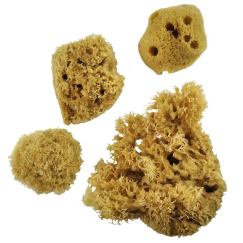 Royal & Langnickel Sea Silk Sponges Pack of 4