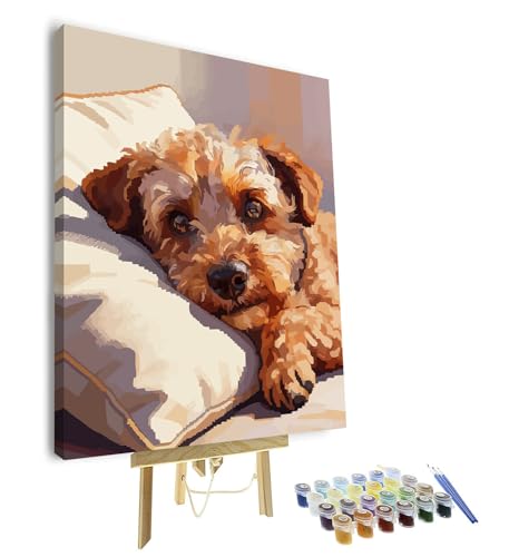TUMOVO Paint by Numbers Kit for Adults, Adult Paint by Number Kits for Beginner - Dog Resting on Pillow, Heartwarming Pet DIY Art for Home Decor & Relaxation, 16x20 Inch(Framed) - color: Dog(Framed)