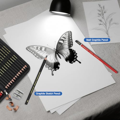 Heshengping, Sketching and Drawing Pencils Set 26pcs, Art Supplies Drawing pencil Kit,Graphite Charcoal Professional Pencils Set, Adults Beginners Artist - style: 26 Pack Sketching Pencils Black
