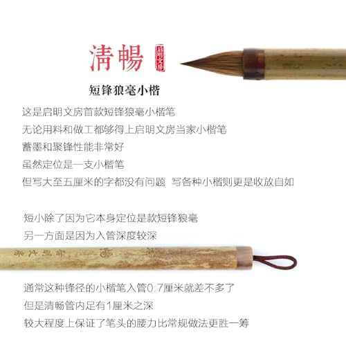QingChang Chinese Calligraphy Brush Set - Sumi Ink Brush Pens for Small Regular, Running & Cursive Script, Japanese Kanji - 1pc - color: 0401. QingChang 1pc