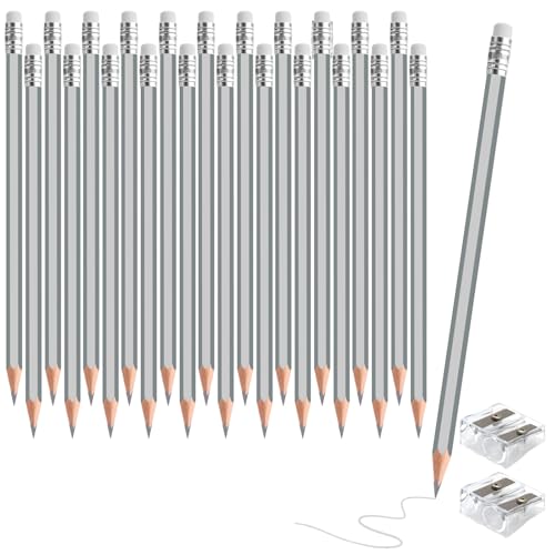 24PCS Silver Colored Pencils with Eraser Pre Sharpened Pencil 2 HB - Ideal for Checking, Grading, Tests & Office/School Supplies (Silver) - color: silver