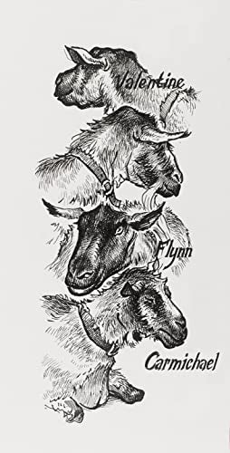 Faber-Castell Pitt Artist Pen 167115 India Ink Pens Pack of 4 M F S XS Black | Waterproof and fade-resistant drawing ink with XS, S, F and M tip for sketching and illustration