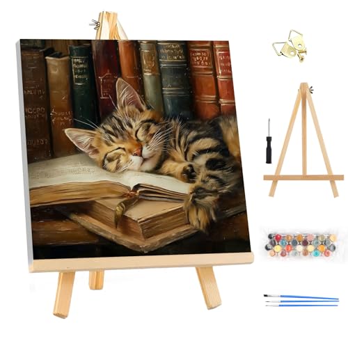 EOBROMD Sleepy Cat Framed Paint by Numbers Kits for Adults with Wooden Easel, DIY Paint by Numbers for Adults Beginner, Painting on Stretched Canvas, Oil Painting Kits for Home Decor Gift 10x10 Inch - color: LG043