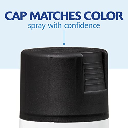 Rust-Oleum Painter's Touch 2X Ultra Cover Spray Paint, Satin Canyon Black - color: Satin Canyon Black, size: 12 Ounce (Pack of 2)