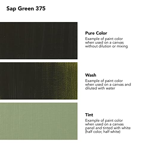 Daler Rowney Georgian Water Mixable Oil Paint Sap Green 37ml Tube - Art Paints for Canvas Paper and More - Oil Painting Supplies for Artists and Students - Artist Oil Paint for Any Skill Set