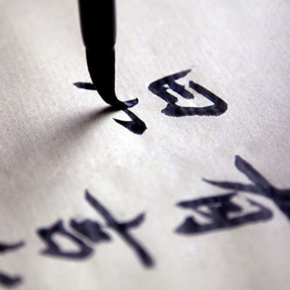 HAKZEON 400 Sheets Chinese Japanese Calligraphy Xuan Paper, 13.6 x 27.2 Inche Sumi Ink Drawing Rice Paper, Rice Paper for Writing Painting Drawing Practice, Brush Ink Writing, Painting Without Grids