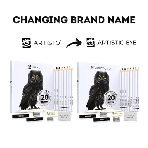 ARTISTIC EYE Premium Drawing and Sketching Pencil Art Set (20 Items): Complete Kit with Graphite Pencils, Charcoal Pencils, Sticks, Blending Stumps, Erasers, and Sharpeners