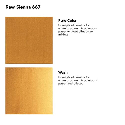 Daler-Rowney FW Acrylic Artists Ink, 1 Oz, Yellow Ochre (160029663) - color: Yellow Ochre, size: 1 fl oz