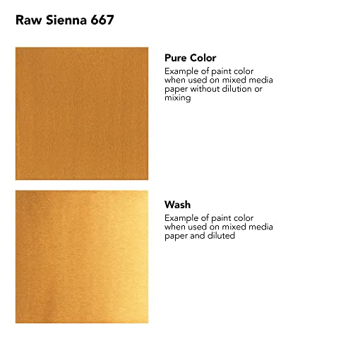 Daler-Rowney FW Acrylic Artists Ink, 1 Oz, Yellow Ochre (160029663) - color: Yellow Ochre, size: 1 fl oz