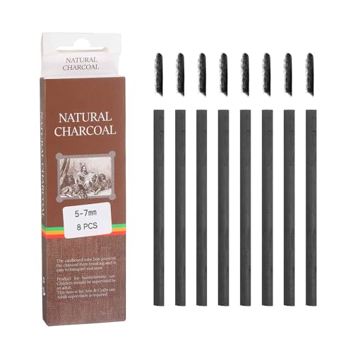 MECCANIXITY Willow Charcoal Sticks, 5-7mm Willow Charcoal Pencils Soft Sketch Vine Art Supplies Set for Drawing Sketching Shading Painting Artists Beginners (Black, Pack of 10)