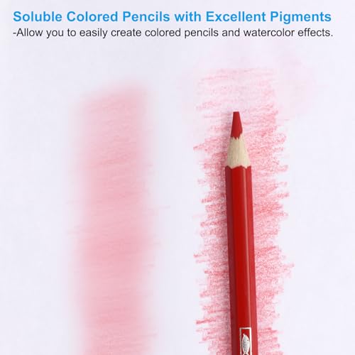 PATIKIL Watercolor Pencil, 12Pcs Water Soluble Pencils for Blending, Coloring, Sketch Drawing, Painting, Grey - color: Grey