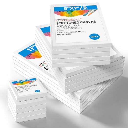Canvas for Painting, 20 Pcs Multi Pack Stretched Paint Canvas | Blank Painting Canvases for Acrylic,Oil,Art Supplies for Artists,Adults 3x3,5x7,8x10,11x14 5pcs of Each - color: White Stretched Canvas, size: 20 Pack