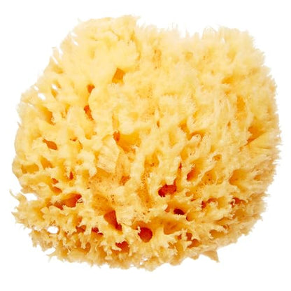 HartFelt Delicate Skin Wool Sea Sponge 4 in | Real Natural Sponges for Body and Face Gentle Care | Luxurious Lather - size: 1 Count (Pack of 1), style: Wool Sea Sponge