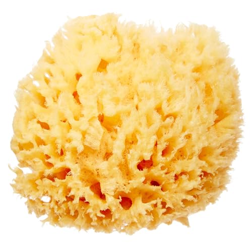HartFelt Delicate Skin Wool Sea Sponge 4 in | Real Natural Sponges for Body and Face Gentle Care | Luxurious Lather - size: 1 Count (Pack of 1), style: Wool Sea Sponge