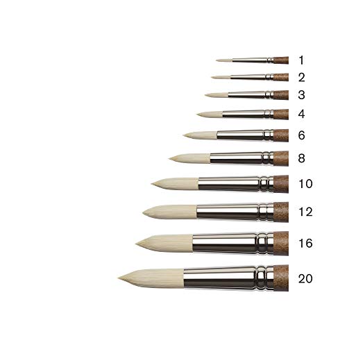 Winsor & Newton Artists' Oil Synthetic Brush, Round #6 | Synthetic Flagged Bristles, Excellent Color Carrying Capacity, Handmade in England, For Oil Paint - style: Round #6