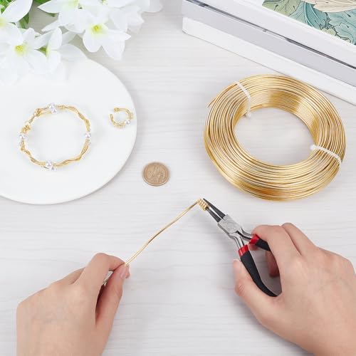BENECREAT 180 Feet 12 Gauge Jewelry Making Craft Wire Aluminum Wire Bendable Metal Sculpting Wire for Bonsai Trees, Floral, Arts Crafts Making, Light Champagne - color: Light Champagne