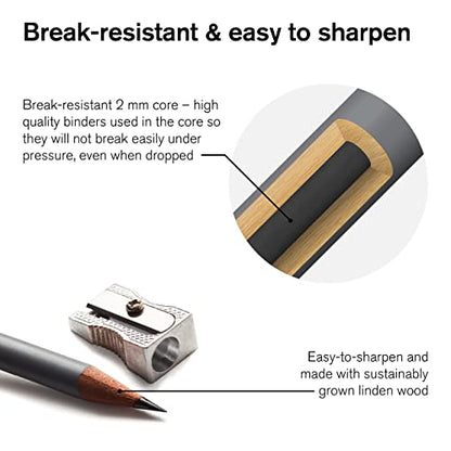 Winsor & Newton Studio Collection, 6 Count, Charcoal Pencils | Mixed Grade Charcoal Pencils, Wooden Barrels, On-The-Go Tin, High Quality Core Binder, Break-Resistant Cores & Points - style: 6 Charcoal Pencils