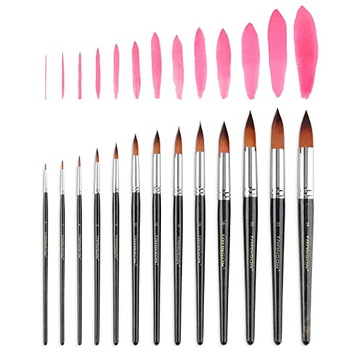 Transon 13pcs Round Paint Brush Set Synthetic Bristle Complete Round Brush Set for Watercolor Acrylic Gouache Ink Tempera - size: Round 13 PCS