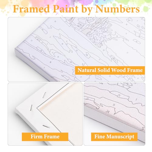 Framed Paint by Numbers Kit for Adults, Colorful Lizard Design 8x12 Inch - color: OPFUS2508-01