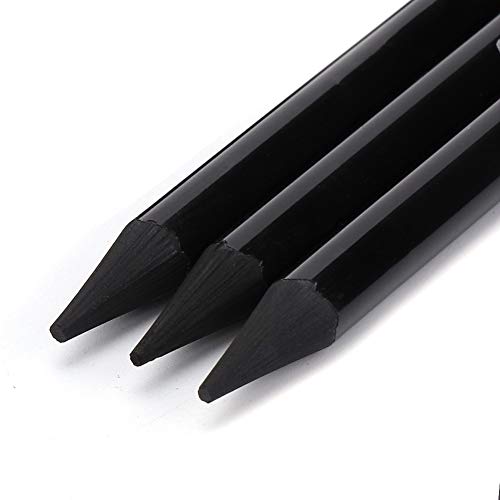 Professional Pure Carbon Sketch Pencil Set Hard Medium Soft Woodless Charcoal Drawing Pens Painting Supplies for Artists Students Teens Beginners