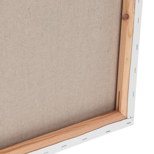 Centurion Deluxe Professional Acrylic Primed Linen Pre-Stretched Canvases, 11oz Linen - 30"x30", Box of 6, 3/4" Deep - Kiln-Dried Stretchers, Back Stapled, Canvas for Painting, Museum Archival Quality