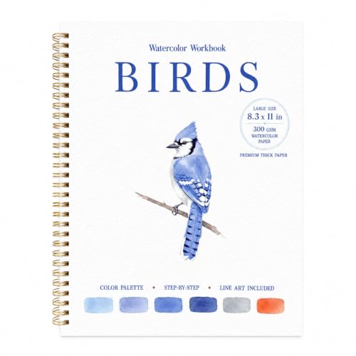 Drawmend Watercolor Workbook for Beginners, 11x8.3 in Large Size Water Coloring Book, 300 GSM Premium Thick Paper Lay-Flat Spiral for Adult,12 Step-by-Step Projects (Birds, Without Palette) - color: Birds, size: Without Palette