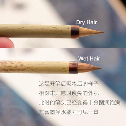 QingChang Chinese Calligraphy Brush Set - Sumi Ink Brush Pens for Small Regular, Running & Cursive Script, Japanese Kanji - 1pc - color: 0401. QingChang 1pc
